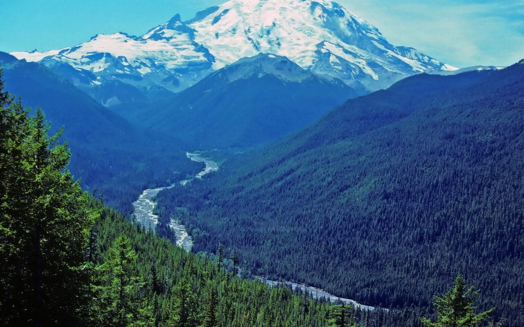 What Are You Going to Conquer This Year?